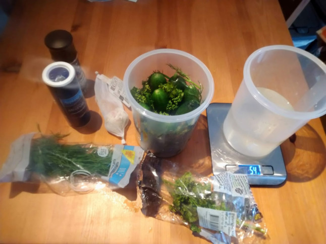 Cucumbers in a plastic container with other ingredients for pickling